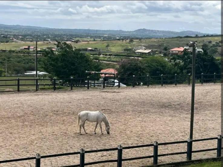 Flat No Hotel Fazenda Monte Castelo Gravata Condominio Zewnętrze zdjęcie